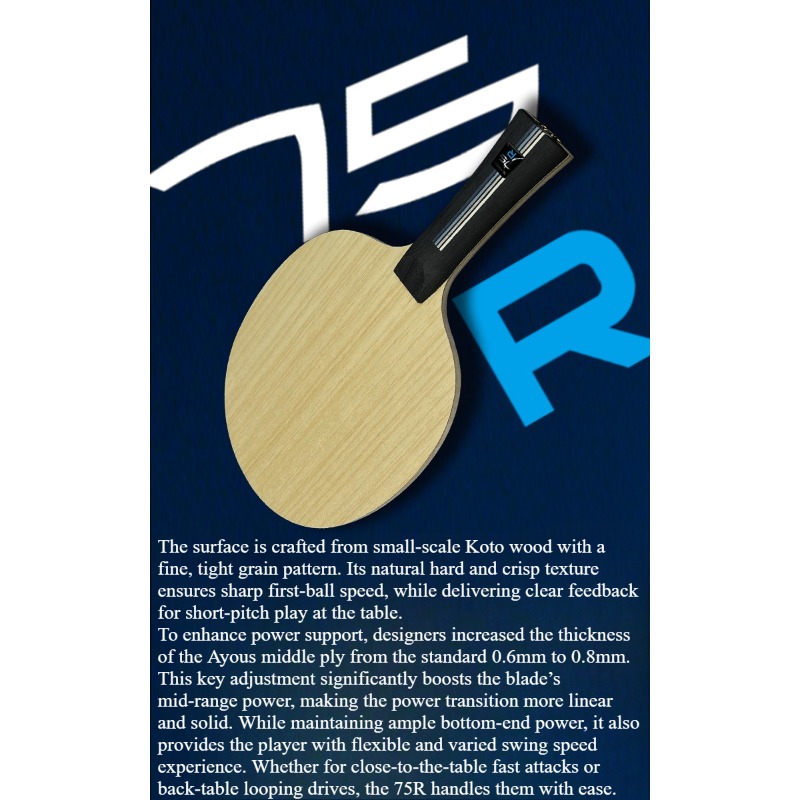 SANWEI 75R 5+2 Outer H-GLC Tab - đánh giá và giá Table Tennis Paddles