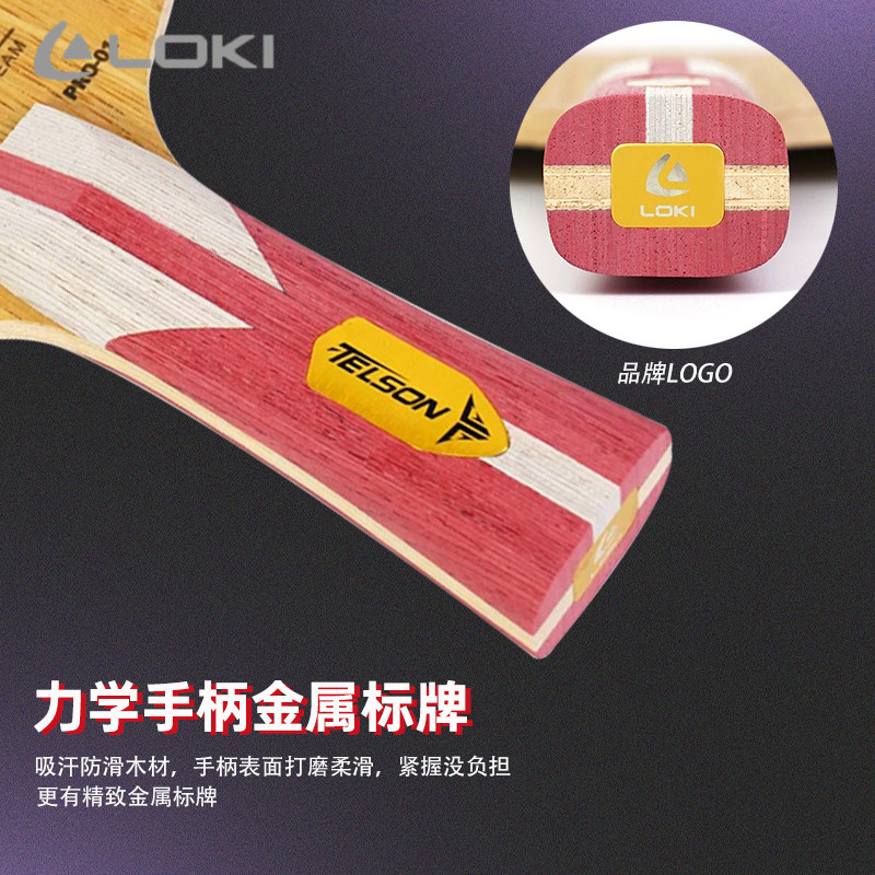 New LOKI TELSON PRO-01 Table T - đánh giá và giá Table Tennis Loki
